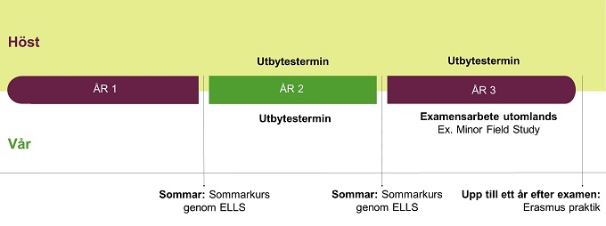 tidslinje internationella möjligheter inom Livsmedelsprogrammet