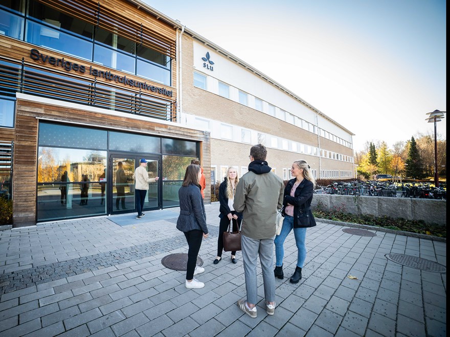 En grupp studenter utanför huvudentren till SLU:s campus i Umeå, foto.